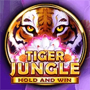Hình ảnh minh họa phần Câu Hỏi Thường Gặp của VJ88 Win