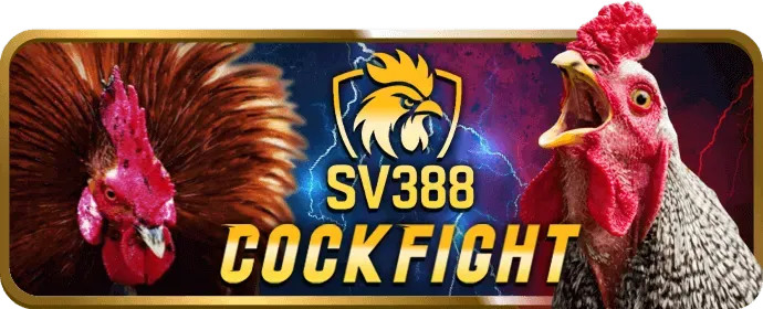 Đá gà cựa sắt vj88 win